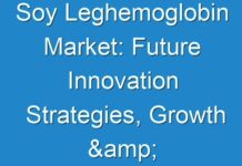 Soy Leghemoglobin Market: Future Innovation Strategies, Growth & Profit Analysis, Forecast by 2029
