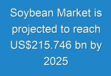 Soybean Market is projected to reach US$215.746 bn by 2025