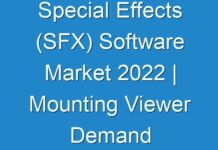 Special Effects (SFX) Software Market 2024 | Mounting Viewer Demand for Improved Audio-video Effects to Propel Global Market