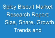 Spicy Biscuit Market Research Report: Size, Share, Growth, Trends and Forecast 2025