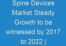 Spine Devices Market Steady Growth to be witnessed by 2017 to 2024 | Medtronic Plc., Zimmer Biomet Holdings