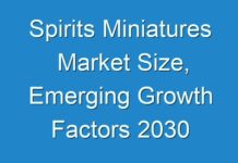 Spirits Miniatures Market Size, Emerging Growth Factors 2030