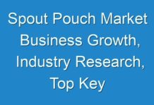 Spout Pouch Market Business Growth, Industry Research, Top Key Players Survey 2024-2030