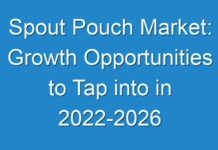Spout Pouch Market: Growth Opportunities to Tap into in 2024-2026