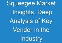 Squeegee Market Insights, Deep Analysis of Key Vendor in the Industry 2018-2028