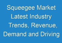 Squeegee Market Latest Industry Trends, Revenue, Demand and Driving Factors to 2028