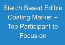 Starch Based Edible Coating Market – Top Participant to Focus on Regional Expansion