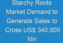 Starchy Roots Market Demand to Generate Sales to Cross US$ 340,000 Mn by 2028 end