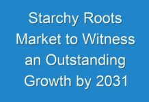 Starchy Roots Market to Witness an Outstanding Growth by 2031