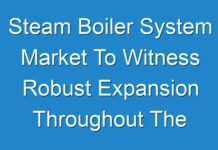 Steam Boiler System Market To Witness Robust Expansion Throughout The Forecast Period 2024-2027