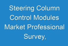 Steering Column Control Modules Market Professional Survey, Finanacial Overview, Emerging Applications