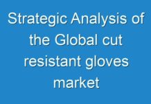 Strategic Analysis of the Global cut resistant gloves market Market, Forecast to 2030