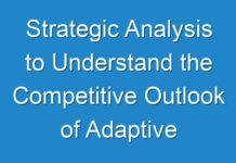Strategic Analysis to Understand the Competitive Outlook of Adaptive Security Market