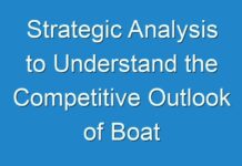 Strategic Analysis to Understand the Competitive Outlook of Boat Rental Market