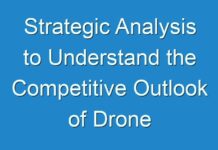 Strategic Analysis to Understand the Competitive Outlook of Drone Services Market