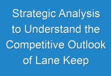 Strategic Analysis to Understand the Competitive Outlook of Lane Keep Assist System Market