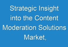 Strategic Insight into the Content Moderation Solutions Market, Forecast to 2030