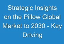 Strategic Insights on the Pillow Global Market to 2030 – Key Driving Factors and Challenges