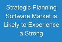 Strategic Planning Software Market is Likely to Experience a Strong Growth During 2024-2030