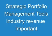 Strategic Portfolio Management Tools Industry revenue Important Changes In Market Dynamics 2017 – 2025