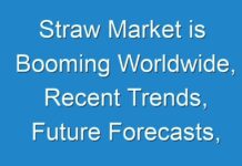 Straw Market is Booming Worldwide, Recent Trends, Future Forecasts, Growth Rate Analysis 2024 – 2026