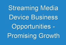 Streaming Media Device Business Opportunities – Promising Growth Opportunities and Forecast