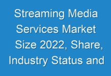 Streaming Media Services Market Size 2024, Share, Industry Status and Growth opportunities for Leading Players
