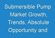 Submersible Pump Market Growth, Trends, Absolute Opportunity and Value Chain 2030