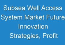 Subsea Well Access System Market Future Innovation Strategies, Profit Analysis, Forecast till 2031