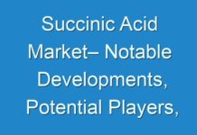 Succinic Acid Market– Notable Developments, Potential Players, Worldwide Opportunities and Forecast, 2019 – 2027