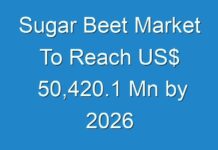 Sugar Beet Market To Reach US$ 50,420.1 Mn by 2026