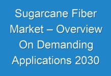 Sugarcane Fiber Market – Overview On Demanding Applications 2030