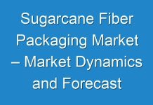 Sugarcane Fiber Packaging Market – Market Dynamics and Forecast From 2024 – 2031