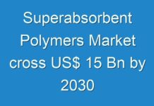 Superabsorbent Polymers Market cross US$ 15 Bn by 2030