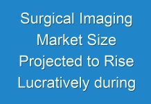 Surgical Imaging Market Size Projected to Rise Lucratively during 2017 – 2025