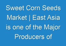 Sweet Corn Seeds Market | East Asia is one of the Major Producers of Field Corn During Forecat Period 2019-2029