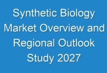 Synthetic Biology Market Overview and Regional Outlook Study 2027