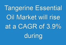Tangerine Essential Oil Market will rise at a CAGR of 3.9% during 2018-2027
