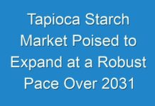 Tapioca Starch Market Poised to Expand at a Robust Pace Over 2031