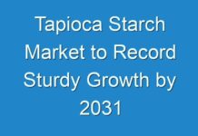 Tapioca Starch Market to Record Sturdy Growth by 2031