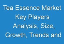 Tea Essence Market Key Players Analysis, Size, Growth, Trends and Forecast up to 2028
