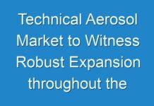 Technical Aerosol Market to Witness Robust Expansion throughout the Forecast Period 2028