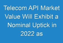 Telecom API Market Value Will Exhibit a Nominal Uptick in 2024 as Corona Virus Outbreak Prevails as a Global Pandemic, Says TMR in a Revised Report