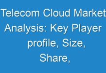 Telecom Cloud Market Analysis: Key Player profile, Size, Share, Trends, Demand and Regional Outlook by 2024- TMR