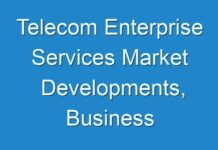 Telecom Enterprise Services Market Developments, Business Opportunities & Future Investments to 2030
