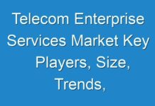 Telecom Enterprise Services Market Key Players, Size, Trends, Opportunities and growth Analysis