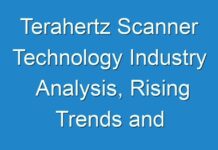 Terahertz Scanner Technology Industry Analysis, Rising Trends and Revenue by Region 2024-2030