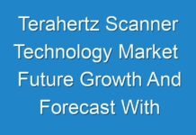 Terahertz Scanner Technology Market Future Growth And Forecast With Significant Players 2017 – 2025
