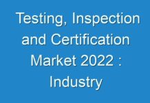 Testing, Inspection and Certification Market 2024 : Industry Analysis, Size, Share, Growth, Trends And Forecast