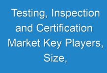 Testing, Inspection and Certification Market Key Players, Size, Trends, Opportunities and growth Analysis